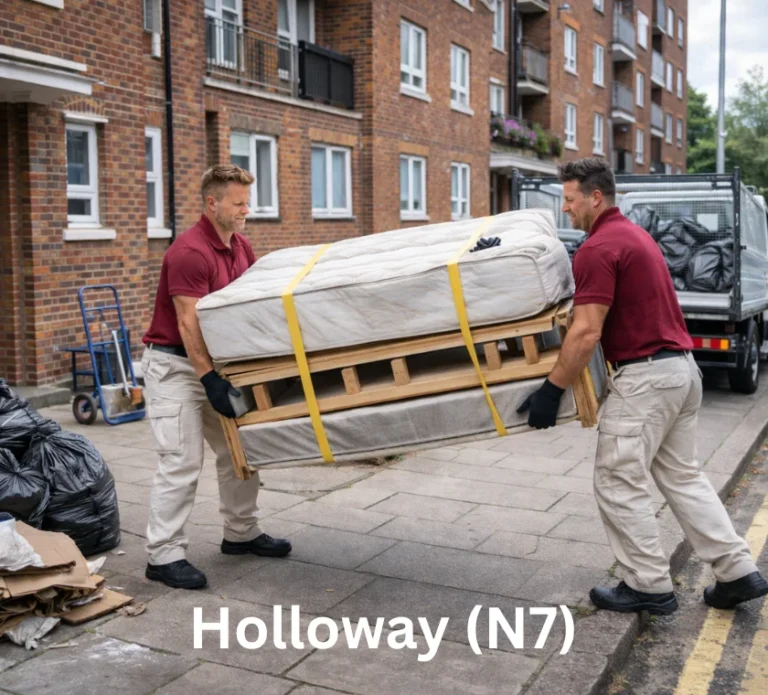 Junk Removal in Holloway